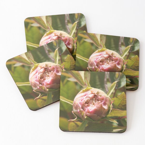 Item preview, Peony bud spring flower blossom	 designed and sold by EstelleRossetti.