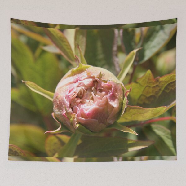 Item preview, Peony bud spring flower blossom	 designed and sold by EstelleRossetti.