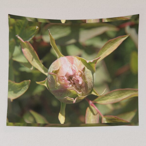 Item preview, Pivoine bourgeon printemps fleur fleur designed and sold by EstelleRossetti.