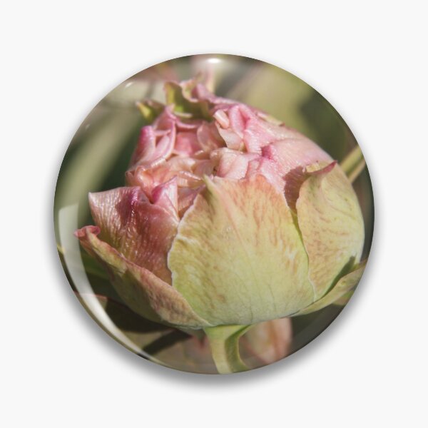 Item preview, Pivoine bourgeon printemps fleur fleur designed and sold by EstelleRossetti.