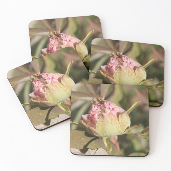 Item preview, Pivoine bourgeon printemps fleur fleur designed and sold by EstelleRossetti.