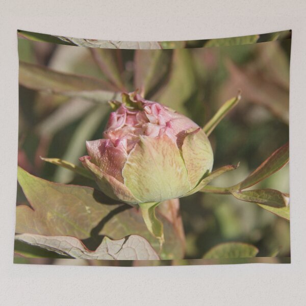 Item preview, Pivoine bourgeon printemps fleur fleur designed and sold by EstelleRossetti.