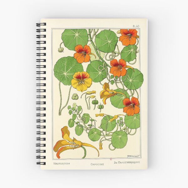 Item preview, Botanical flower plate - Maurice Verneuil - Capucine designed and sold by DejaVuStudio.