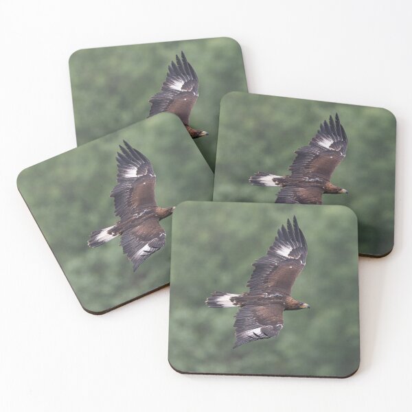 Item preview, Golden Eagle designed and sold by Steve Liptrot Photography.