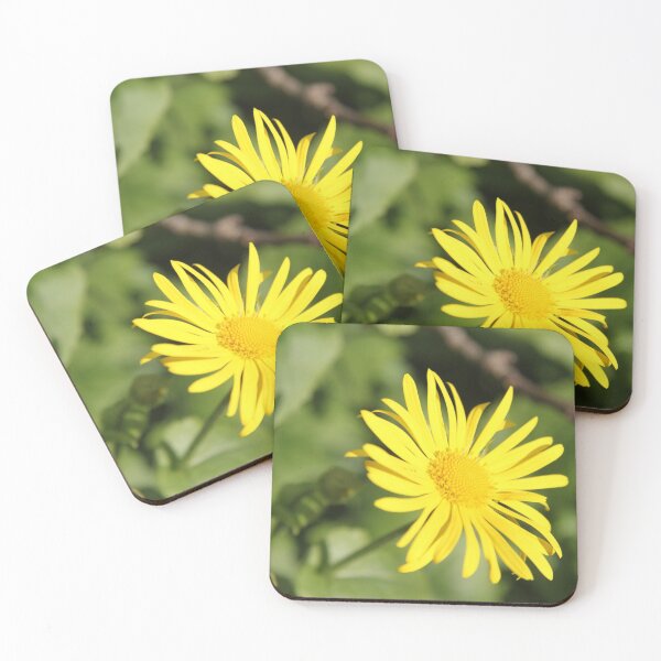 Item preview, Yellow spring flower doronicum orientale	 designed and sold by EstelleRossetti.