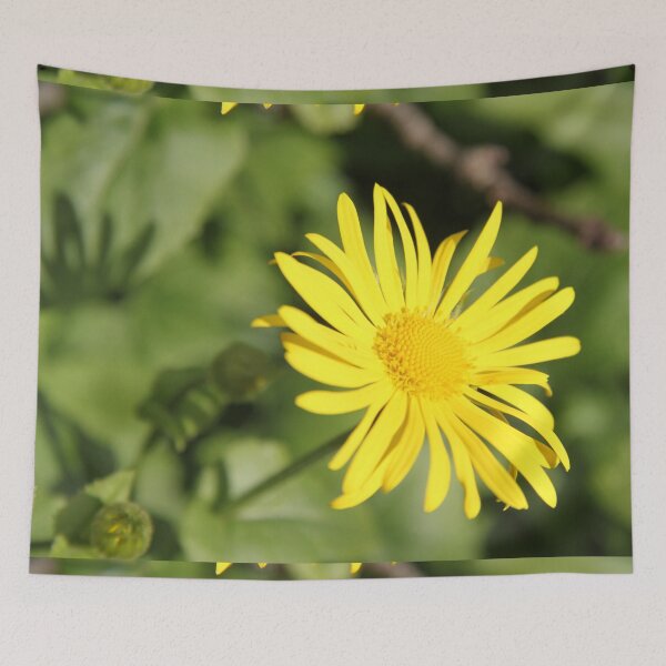 Item preview, Yellow spring flower doronicum orientale designed and sold by EstelleRossetti.