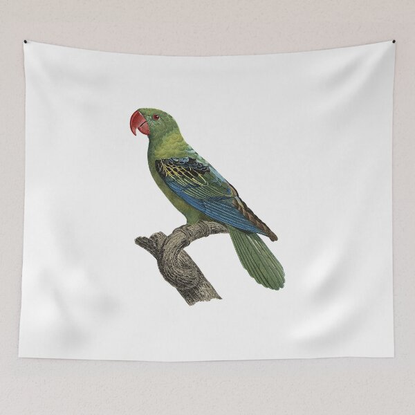 Item preview, Great-billed parrot designed and sold by Photopicture.