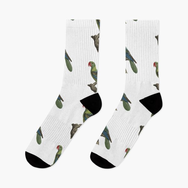 Item preview, Great-billed parrot designed and sold by Photopicture.