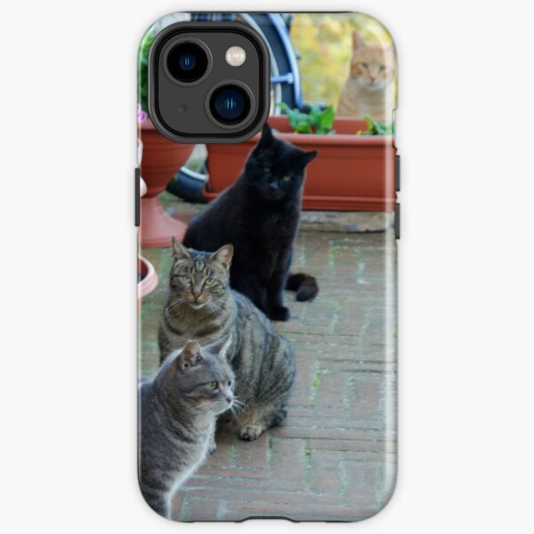 Well-fed Italian Street Cats-Amelia-Umbria iPhone Tough Case