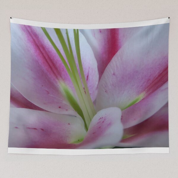 Item preview, Read new designed and sold by alanoix.