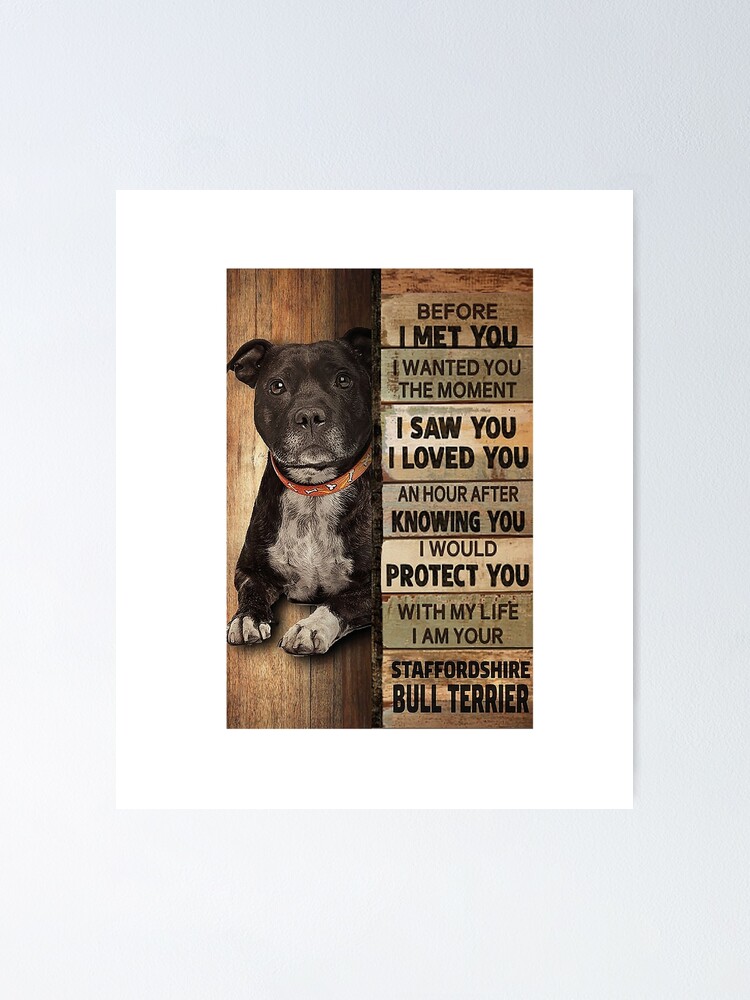 wanted staffordshire bull terrier