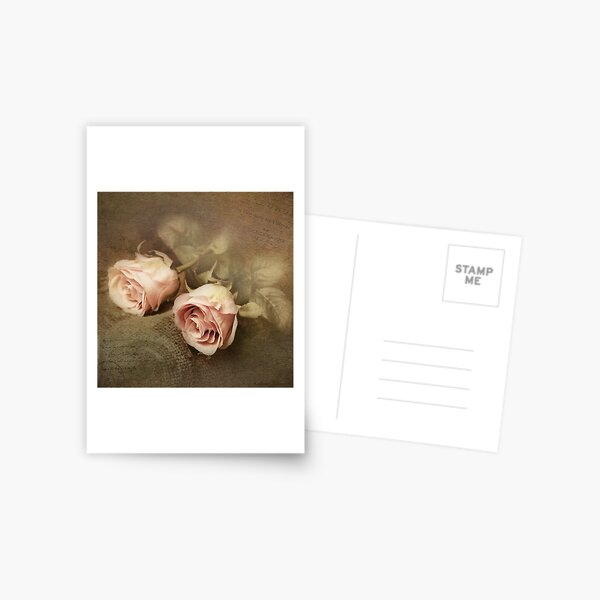 Two roses Postcard