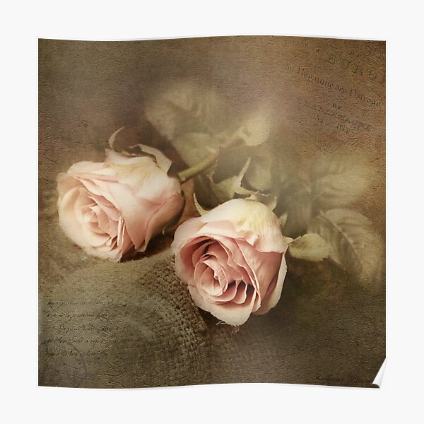 Two roses Poster