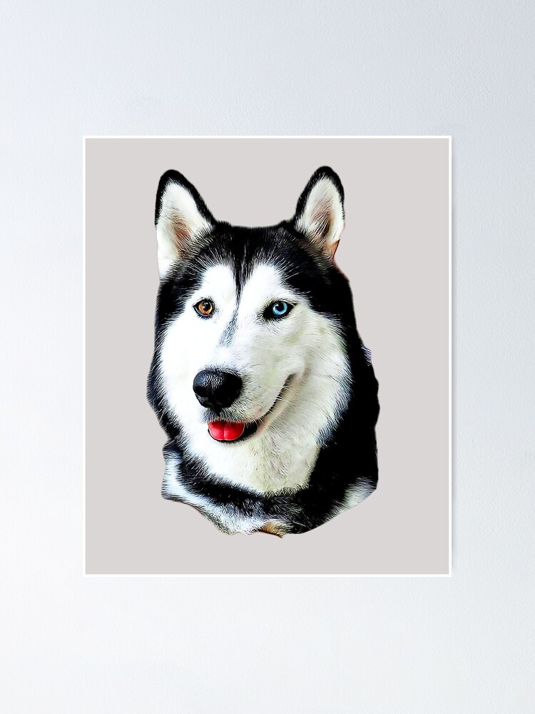 Siberian Husky Huskies are cute!" Poster for Sale by ElegantCat