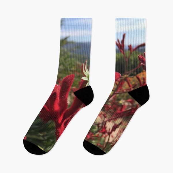 Item preview, Kangaroo Paw Flower Australian Nature Photography Art Design designed and sold by NomYen ..