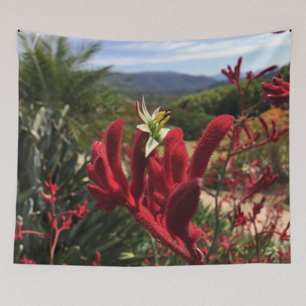 Item preview, Kangaroo Paw Flower Australian Nature Photography Art Design designed and sold by NomYen ..