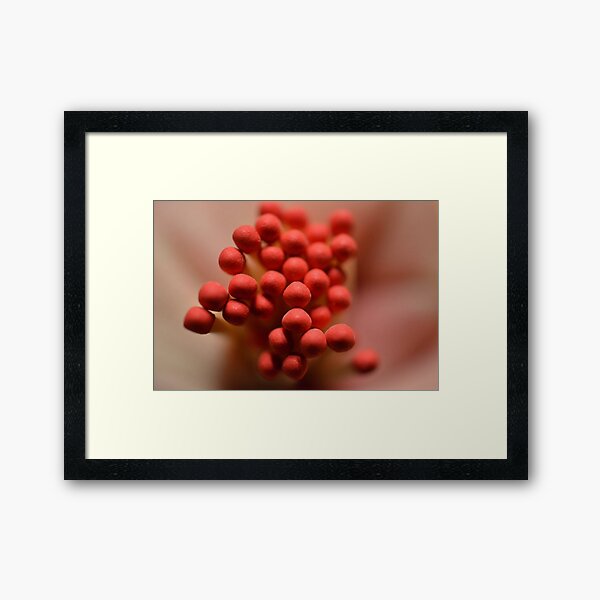 Framed Print