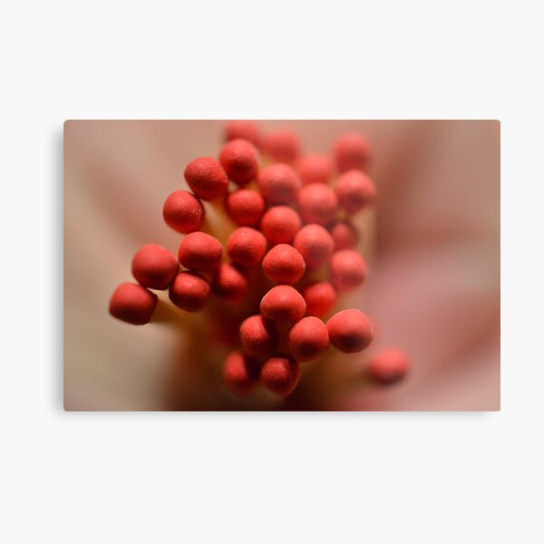 Metal Print