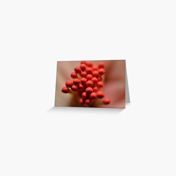 Greeting Card