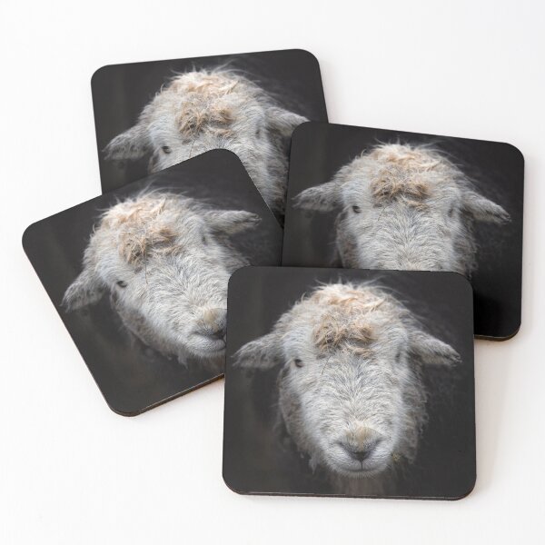 Item preview, Bedraggled Herdwick Sheep designed and sold by Phil Buckle.