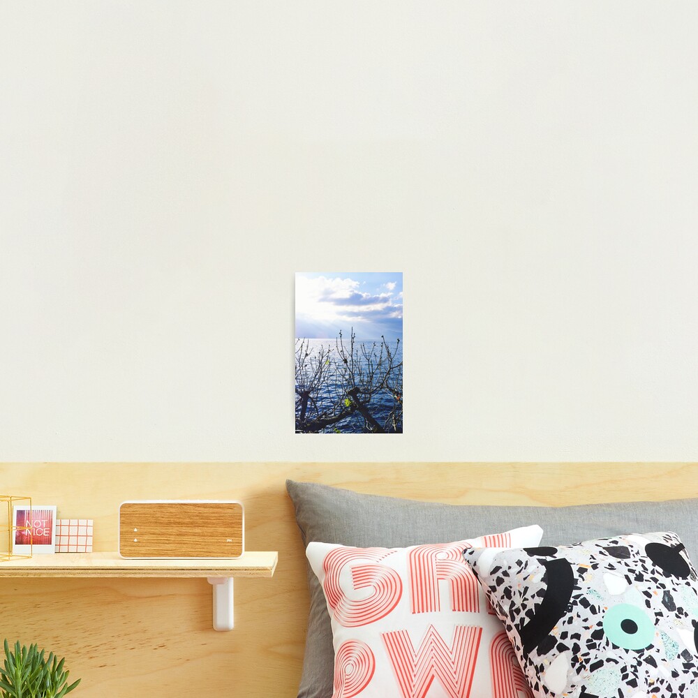 Item preview, Photographic Print designed and sold by TheRealFG.