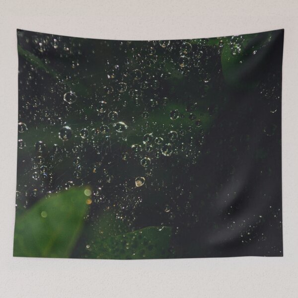 Item preview, Raindrops on the Spiderweb designed and sold by CokeyPanda.