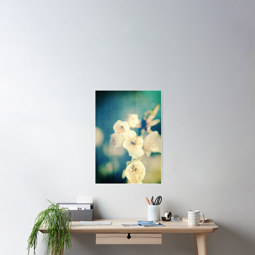Cherryblossom a la Chinoise Poster