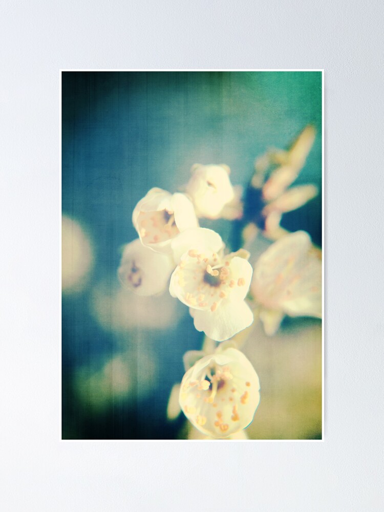 Alternate view of Cherryblossom a la Chinoise Poster
