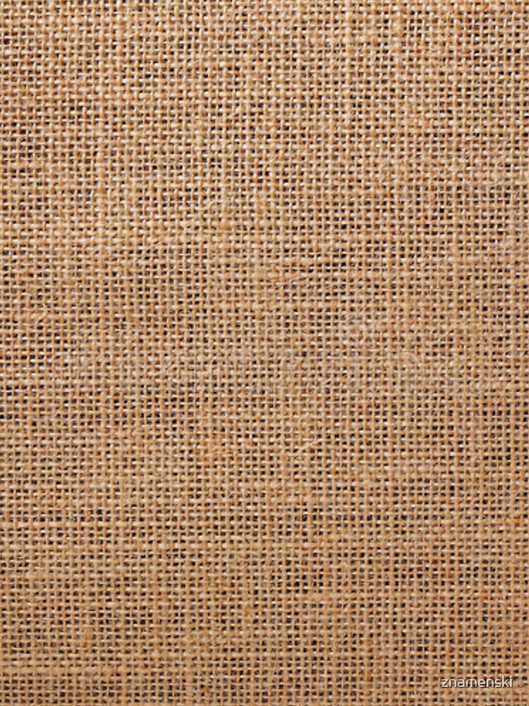 #Wicker, #roughlinen, #burlap, #sackcloth, sacking, bagging, холст, scrim, cloth, crash, власяница, hairshirt, haircloth, мешковина by znamenski