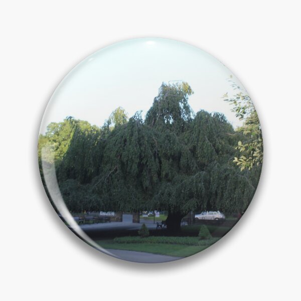 Item preview, Sheffield Endcliffe Park Entrance Tree designed and sold by mwcannon.