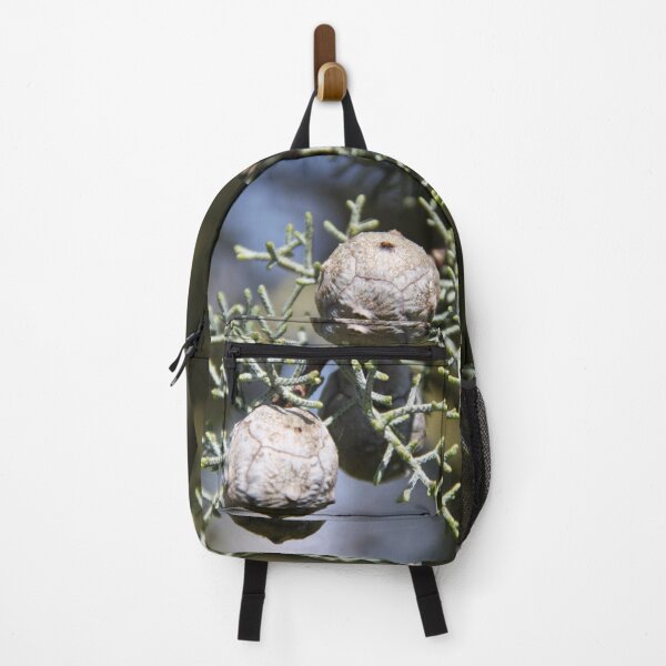 Item preview, Leyland cypress tree balls seeds and needles designed and sold by EstelleRossetti.