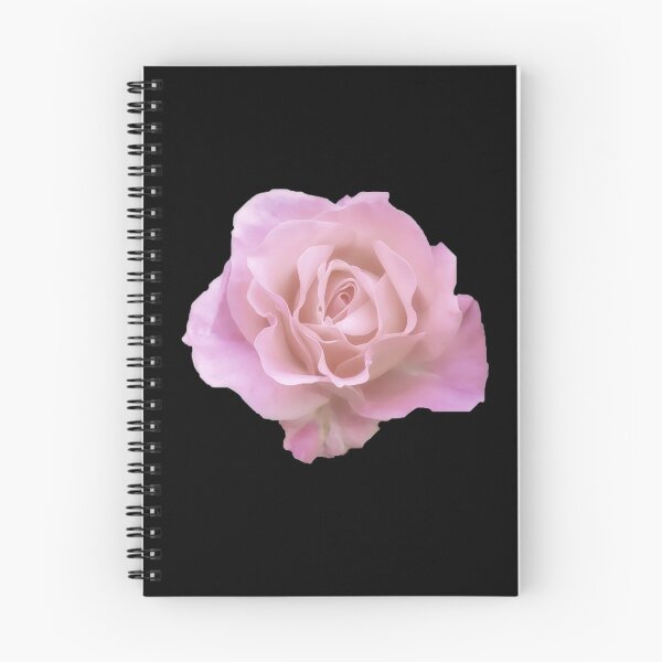 Item preview,  A Single Natural Looking Pink Rose (black background) designed and sold by Pendy777.