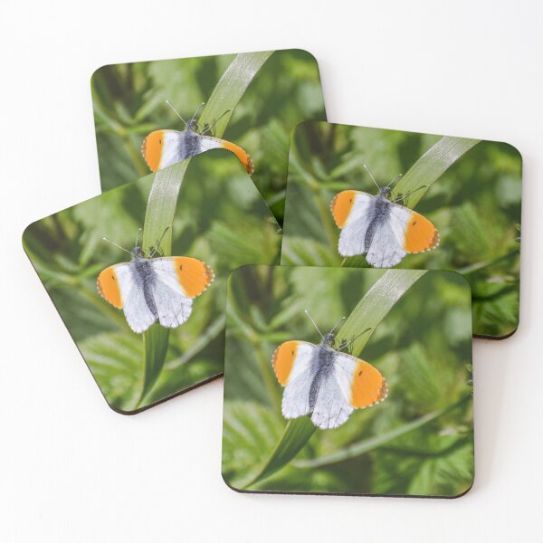 Item preview, Orange Tip Butterfly designed and sold by rwhooster.