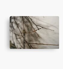 Vancouver, BC Metal Print