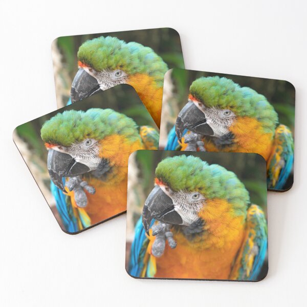 Item preview, Portrait of a Macaw  designed and sold by hawkie.