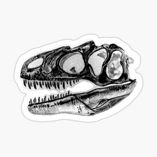 Item preview, Allosaurus Skull Dino Dinosaur Sticker Paleo designed and sold by jfells.