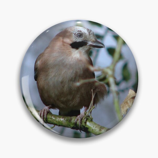 Item preview, Another Jay designed and sold by Sharon Perrett.