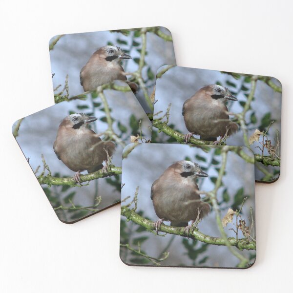 Item preview, Another Jay designed and sold by Sharon Perrett.