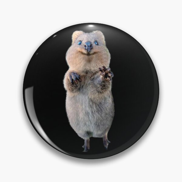 Artikelvorschau, schöne Quokka entworfen und verkauft von BENAZCOMPANY.