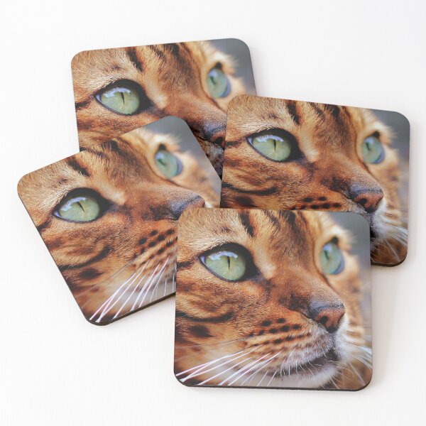Item preview, Cat Photography Cats Face Art Design designed and sold by NomYen ..