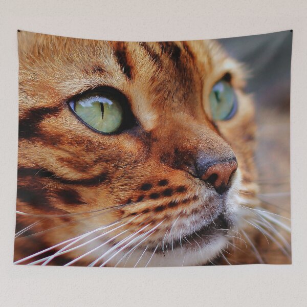 Item preview, Cat Photography Cats Face Art Design designed and sold by NomYen ..