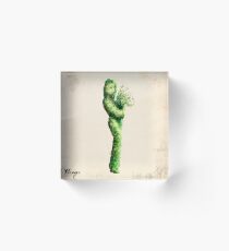 The Maiden Acrylic Block