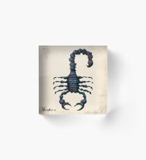 The Scorpion Acrylic Block