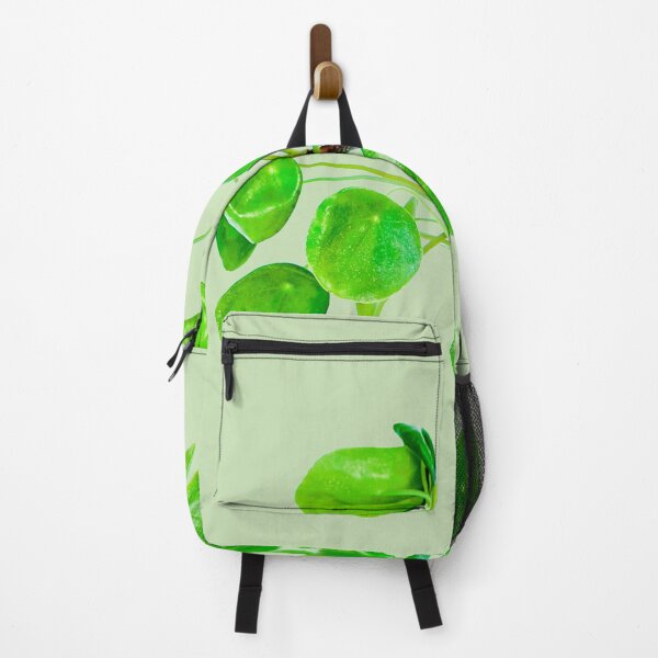 Item preview, Pilea peperomioides, more commonly known as Chinese money plant, pancake plant, UFO plant, lefse plant, missionary plant,' "Bender Plant"'or mirror grass designed and sold by HTPOP.