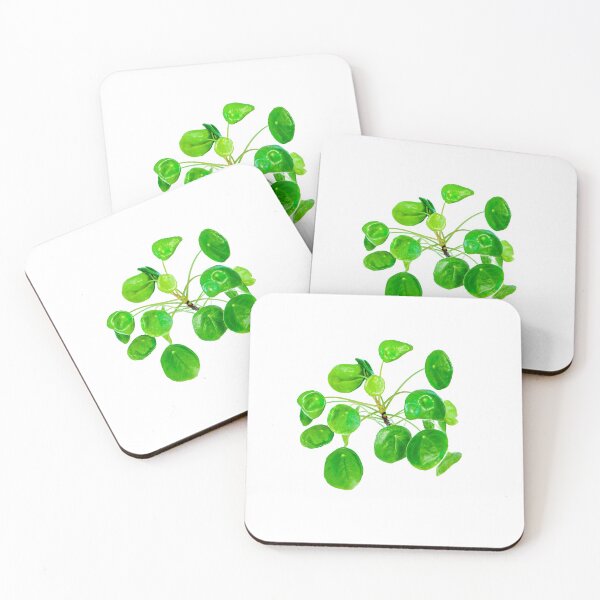 Item preview, Pilea peperomioides, more commonly known as Chinese money plant, pancake plant, UFO plant, lefse plant, missionary plant,' "Bender Plant"'or mirror grass designed and sold by HTPOP.