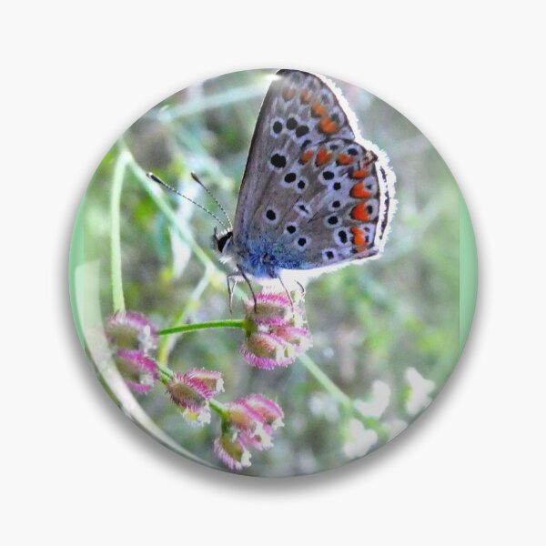 Item preview, Silver-studded Blue (Plebejus argus) designed and sold by angel1.