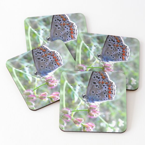 Item preview, Silver-studded Blue (Plebejus argus) designed and sold by angel1.