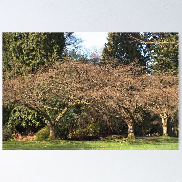 Item preview, Stanley Park designed and sold by Heather Eeles.