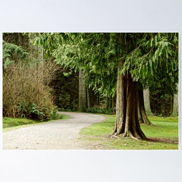 Item preview, The path to greenery designed and sold by Heather Eeles.