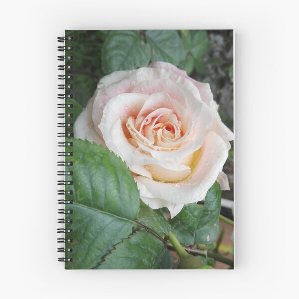 Item preview, Rose Mary designed and sold by SUN2020.